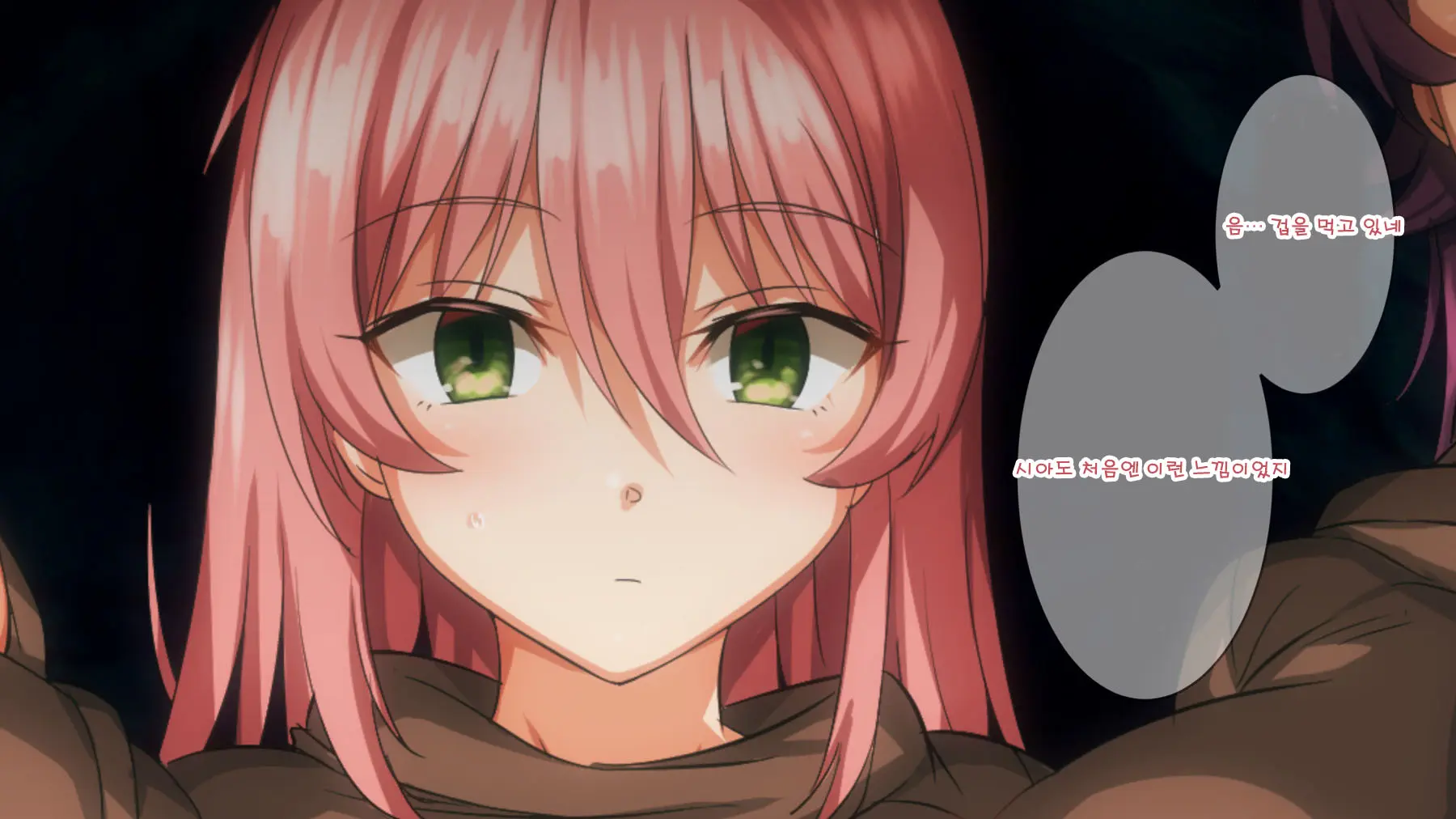Mamono No Nie 2 ~Ishu No Ko O Haranda Boukensha-Tachi~ | 마물의 희생양 2 ~괴물의 새끼를 임신한 모험가들~